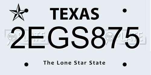 2EGS875 Texas License Plate