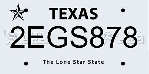 2EGS878 Texas License Plate