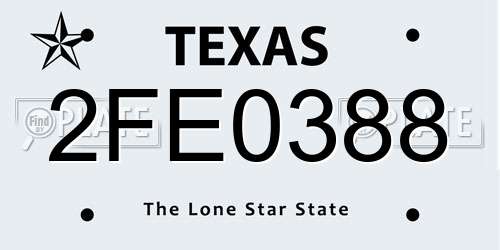 2FE0388 Texas License Plate