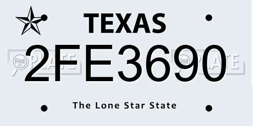 2FE3690 Texas License Plate