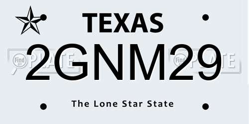 2GNM29 Texas License Plate