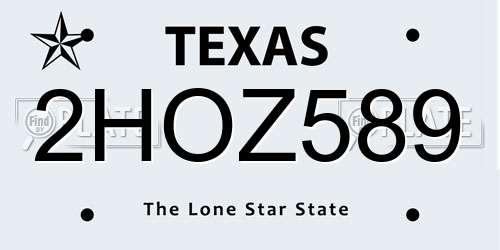 2HOZ589 Texas License Plate