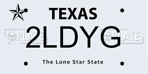 2LDYG Texas License Plate