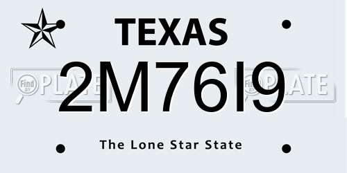 2M76I9 Texas License Plate