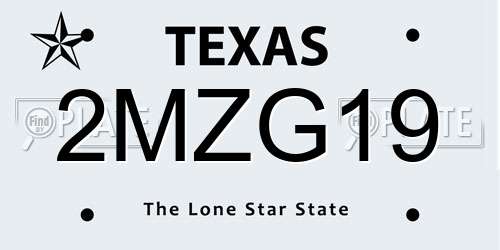 2MZG19 Texas License Plate