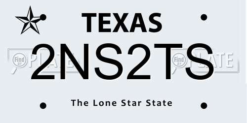 2NS2TS Texas License Plate
