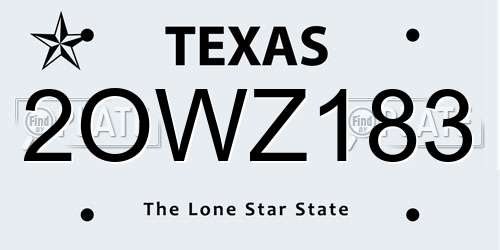 2OWZ183 Texas License Plate