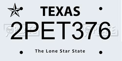 2PET376 Texas License Plate
