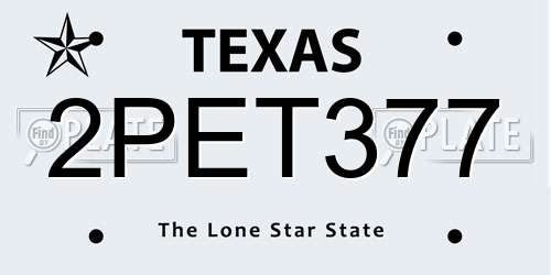 2PET377 Texas License Plate