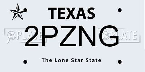 2PZNG Texas License Plate
