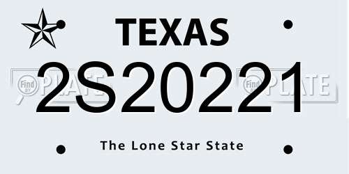 2S20221 Texas License Plate