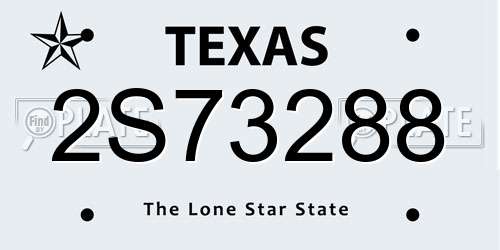 2S73288 Texas License Plate