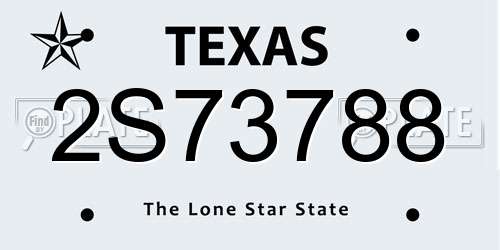 2S73788 Texas License Plate