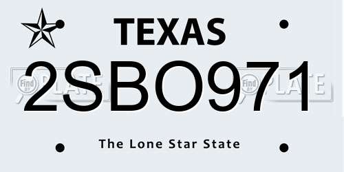 2SBO971 Texas License Plate