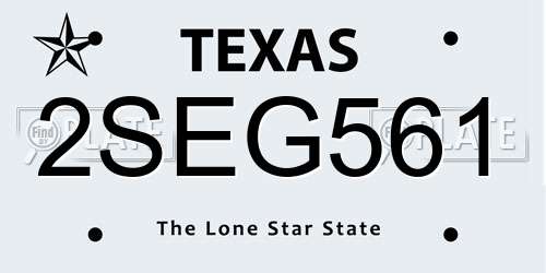 2SEG561 Texas License Plate