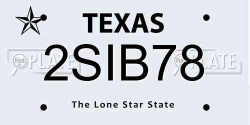 2SIB78 Texas License Plate