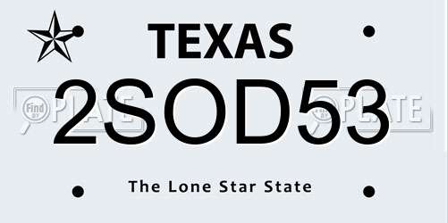 2SOD53 Texas License Plate