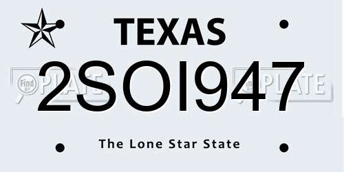 2SOI947 Texas License Plate