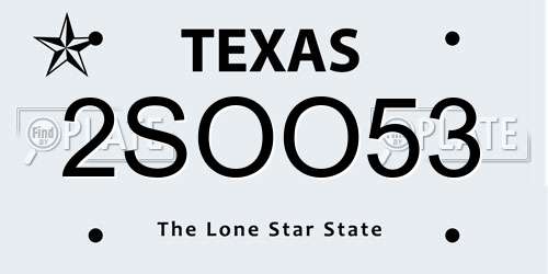 2SOO53 Texas License Plate