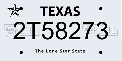 2T58273 Texas License Plate