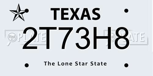 2T73H8 Texas License Plate