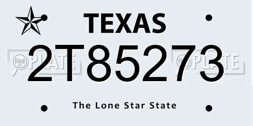 2T85273 Texas License Plate
