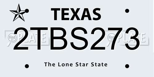 2TBS273 Texas License Plate