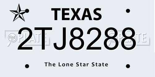 2TJ8288 Texas License Plate