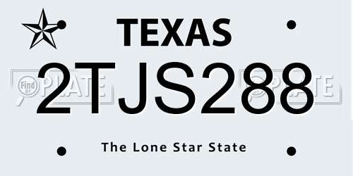 2TJS288 Texas License Plate