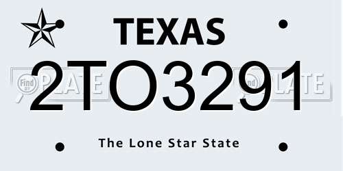 2TO3291 Texas License Plate