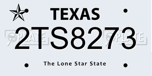 2TS8273 Texas License Plate
