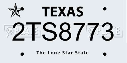 2TS8773 Texas License Plate