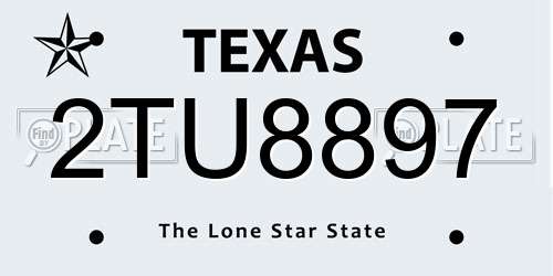 2TU8897 Texas License Plate