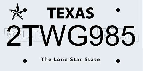 2TWG985 Texas License Plate
