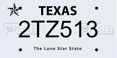 2TZ513 Texas License Plate
