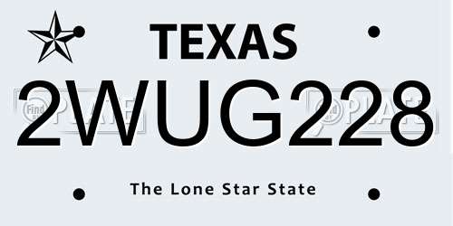 2WUG228 Texas License Plate