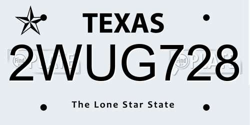 2WUG728 Texas License Plate