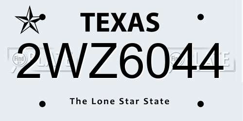 2WZ6044 Texas License Plate