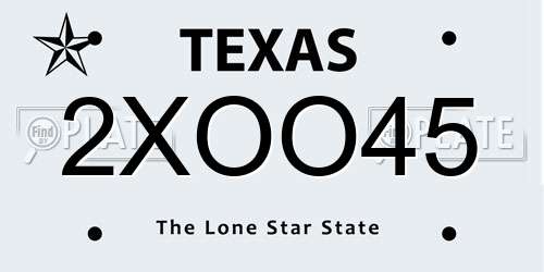 2XOO45 Texas License Plate