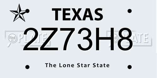 2Z73H8 Texas License Plate