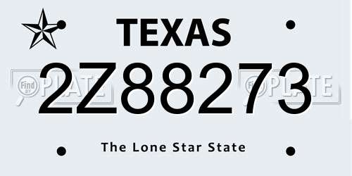 2Z88273 Texas License Plate