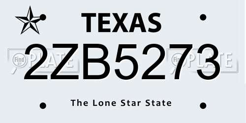 2ZB5273 Texas License Plate