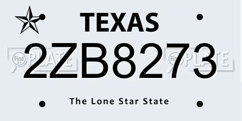 2ZB8273 Texas License Plate