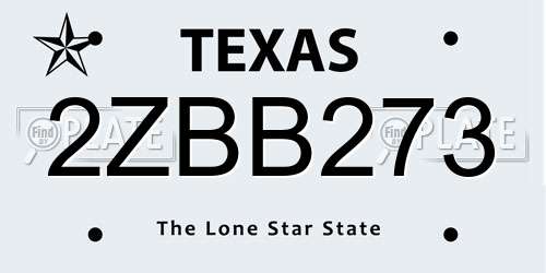 2ZBB273 Texas License Plate