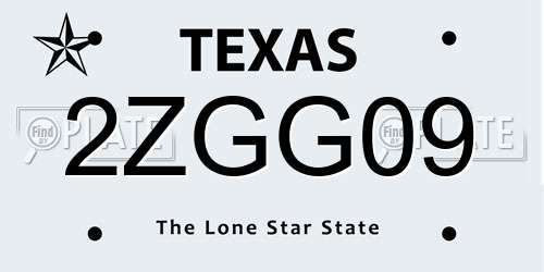 2ZGG09 Texas License Plate