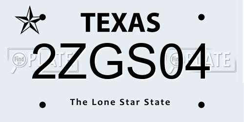 2ZGS04 Texas License Plate