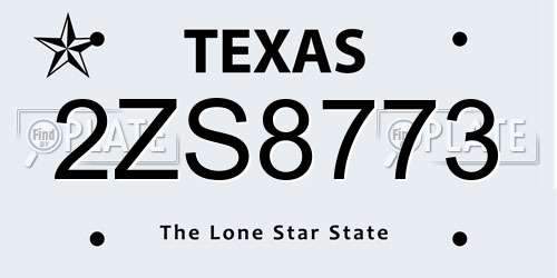 2ZS8773 Texas License Plate