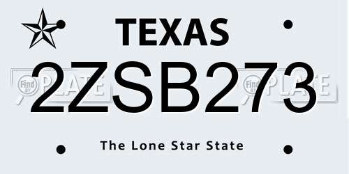 2ZSB273 Texas License Plate