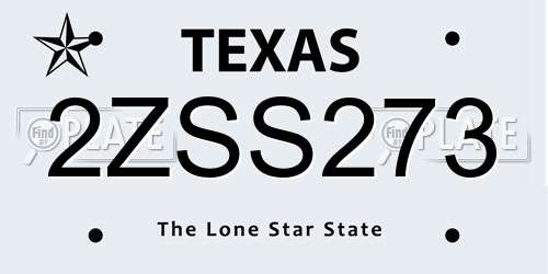 2ZSS273 Texas License Plate