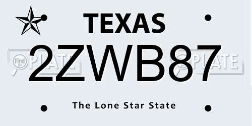 2ZWB87 Texas License Plate